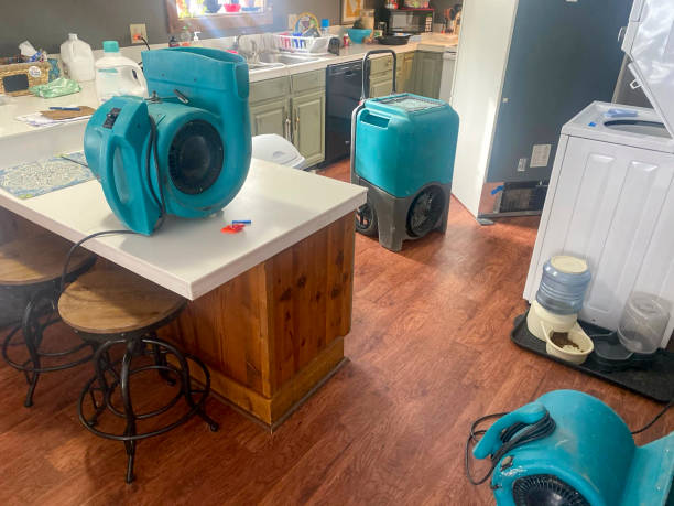 Best Water damage restoration near me  in Middletown, VA