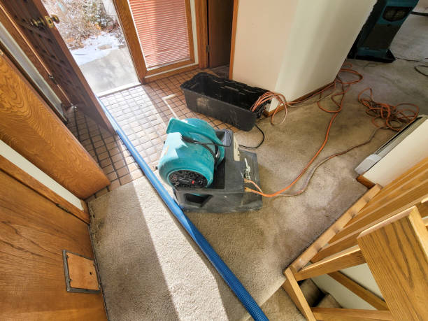 Best 24-hour water damage restoration  in Middletown, VA