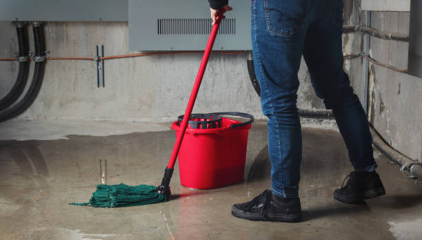 Best Mold removal after water damage  in Middletown, VA