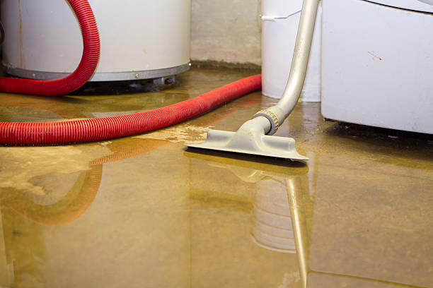  Middletown, VA Water damage restoration Pros