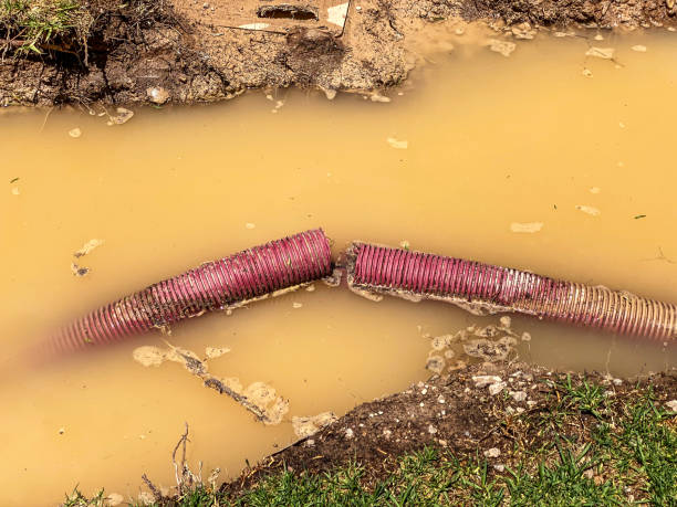 Best Water damage restoration mold remediation  in Middletown, VA