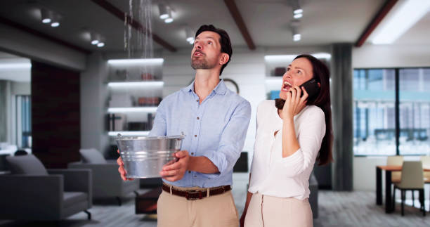 Water damage restoration mold remediation in VA