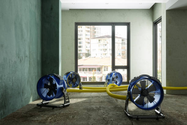 Local water damage restoration in VA